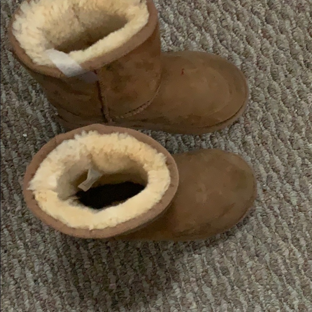 Chestnut Ugg